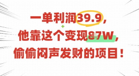 一单利润39.9，有人靠这个变现几十个，偷偷闷声发财的项目-胜利号
