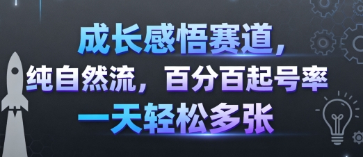 成长感悟赛道，纯自然流，百分百起号率 一天轻松多张-胜利号