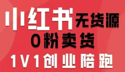 小红书无货源0粉电商课，开店准备、选品策略、笔记撰写、视频剪辑、数据分析、账号打造、资料文档-胜利号