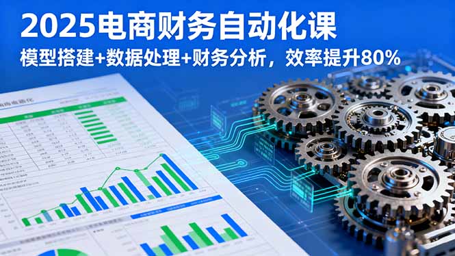 2025电商财务自动化课，模型搭建+数据处理+财务分析，效率提升80%-胜利号