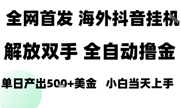 海外抖音无人直播，单日产出1.5k+，长期稳定，新手可玩，无脑操作【揭秘】-胜利号