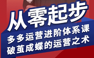 拼多多运营进阶系统课，从零起步，多多运营进阶体系课，破茧成蝶的运营之术(更新9月)-胜利号