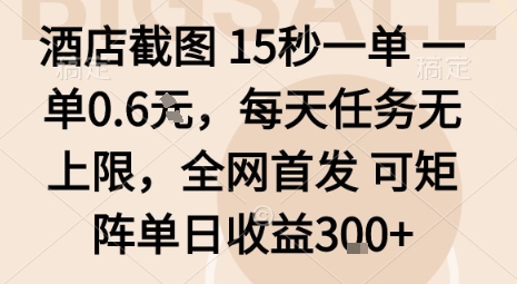 酒店截图15秒一单，一单0.6米，每天任务无上限，全网首发可矩阵单日收益3张【揭秘】-胜利号