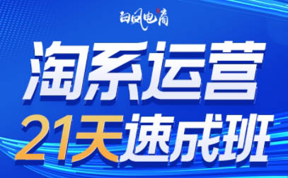 白凤电商·淘系运营21天速成班(更新9月)-胜利号